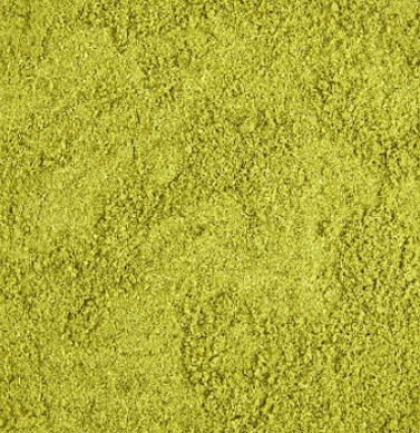 Whole Coriander Seeds